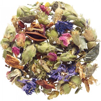 Βοτανικό τσάι winter star Βοτανικό τσάι winter star