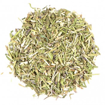 Ύσσωπος Ύσσωπος