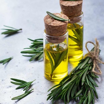 Δενδρολίβανο 10ml