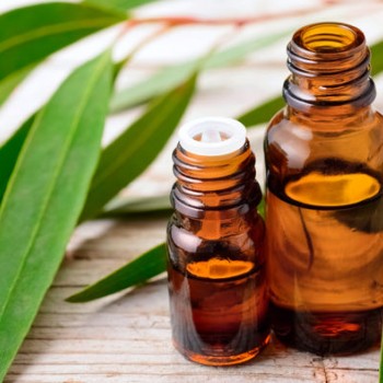 Ευκάλυπτος 10ml