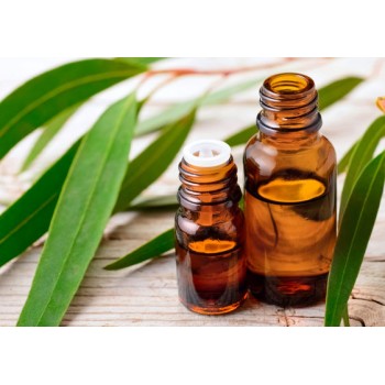 Ευκάλυπτος 10ml Ευκάλυπτος 10ml