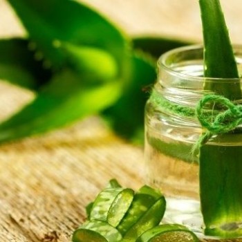 Αλόη έλαιο 100ml Αλόη έλαιο 100ml