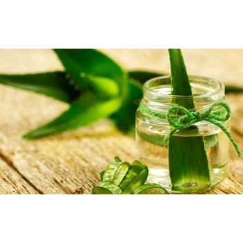 Αλόη έλαιο 100ml Αλόη έλαιο 100ml