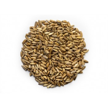 Γαϊδουράγκαθο σπόρος