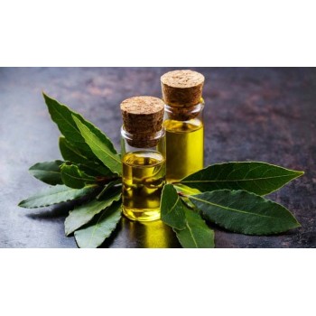 Δαφνέλαιο 100ml