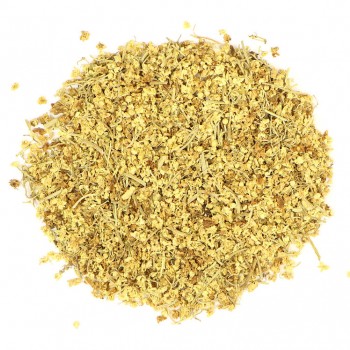 Ζαμπούκος Ζαμπούκος