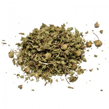 Κίστος Κίστος