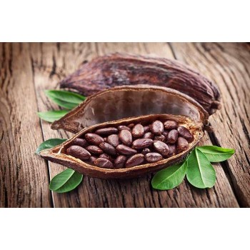 Καρποί κακάο ΒΙΟ Καρποί κακάο ΒΙΟ