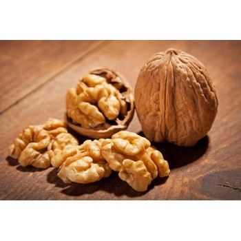 Καρυδόψιχα πεταλούδα Καρυδόψιχα πεταλούδα