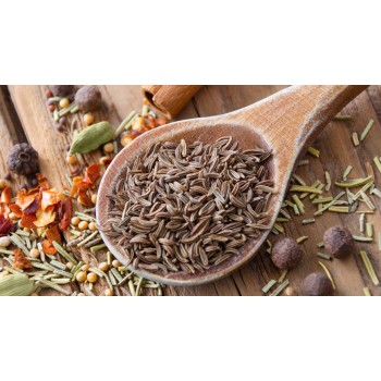 Κιούμελ Κιούμελ