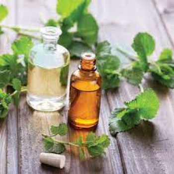 Κισσού έλαιο 100ml Κισσού έλαιο 100ml