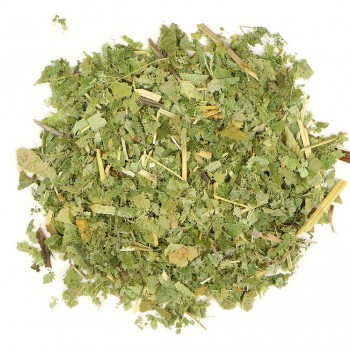 Κισσός Κισσός