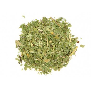 Κισσός Κισσός