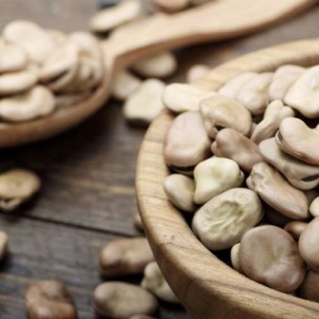 Κουκιά Τριπόλεως Κουκιά Τριπόλεως