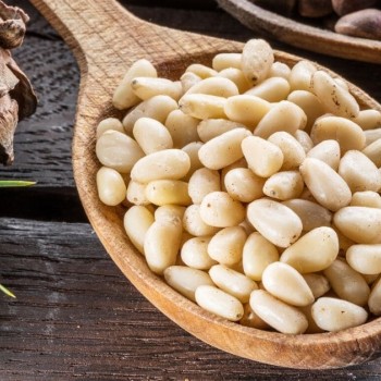 Κουκουνάρι Κουκουνάρι