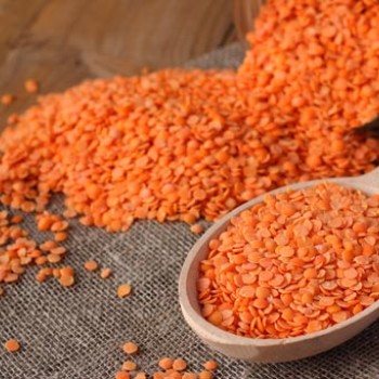 Κόκκινες φακές Τουρκίας Κόκκινες φακές Τουρκίας