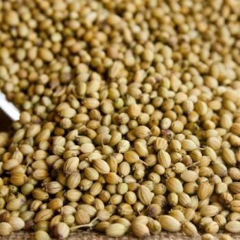 Κόλιανδρο σπόρος