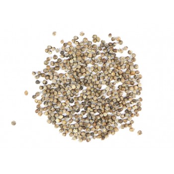 Λυγαριά Λυγαριά