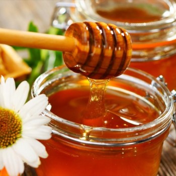 Μέλι ανθέων με κωνοφόρα 480γρ.