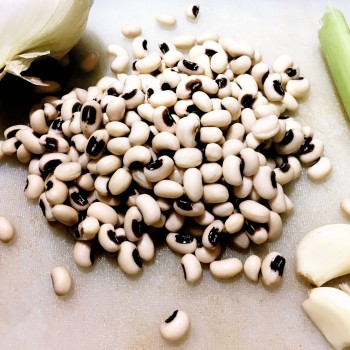 Μαυρομάτικα Πρεβέζης Μαυρομάτικα Πρεβέζης