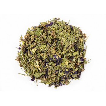 Μολόχα Μολόχα