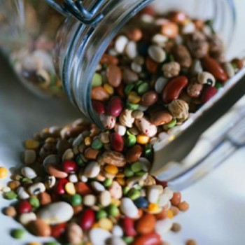 Οσπριάδα εγχώρια Οσπριάδα εγχώρια