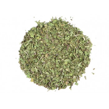 Πεντάνευρο