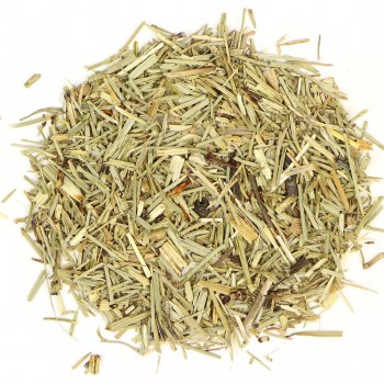 Πολυκόμπι (Εκουϊζέτο) Πολυκόμπι (Εκουϊζέτο)