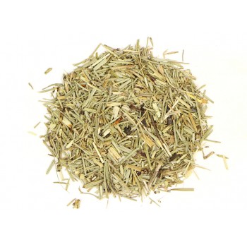 Πολυκόμπι (Εκουϊζέτο) Πολυκόμπι (Εκουϊζέτο)