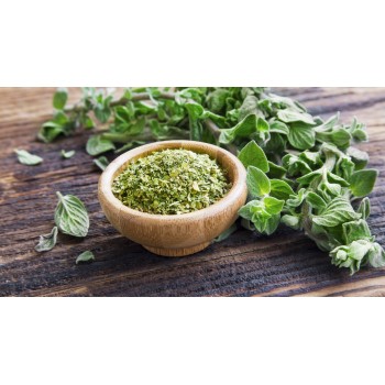 Ρίγανη Ρίγανη