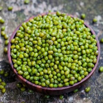 Ροβίτσα Καλαμάτας Ροβίτσα Καλαμάτας