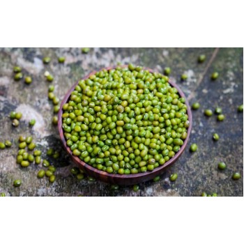 Ροβίτσα Καλαμάτας Ροβίτσα Καλαμάτας