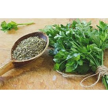 Σέλινο Σέλινο