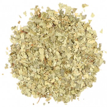 Σημύδα Σημύδα