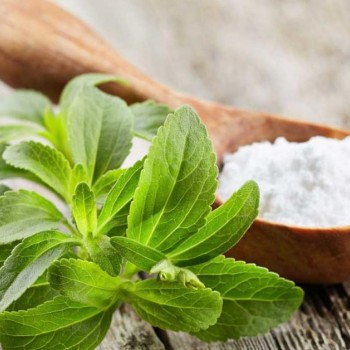 Στέβια σκόνη 1:3 Στέβια σκόνη 1:3