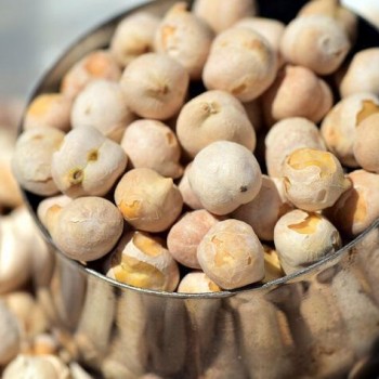 Στραγάλι αλμυρό