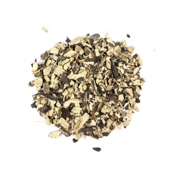 Σύμφυτο Σύμφυτο