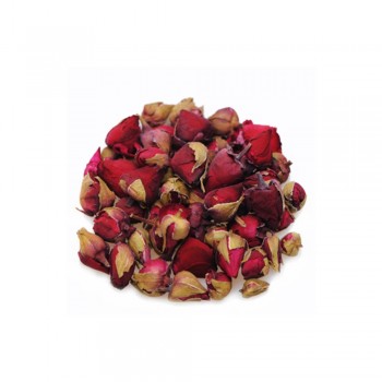 Τριαντάφυλλο μπουμπούκι κόκκινο Τριαντάφυλλο μπουμπούκι κόκκινο