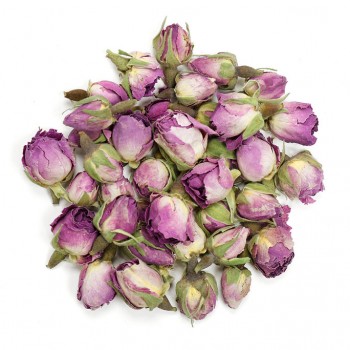 Τριαντάφυλλο μπουμπούκι ροζ Τριαντάφυλλο μπουμπούκι ροζ