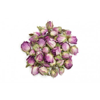 Τριαντάφυλλο μπουμπούκι ροζ Τριαντάφυλλο μπουμπούκι ροζ