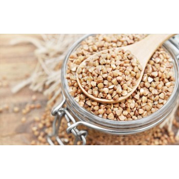 Φαγόπυρο Φαγόπυρο