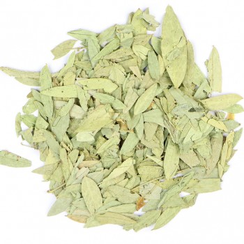 Φύλλα Αλεξανδρείας Φύλλα Αλεξανδρείας