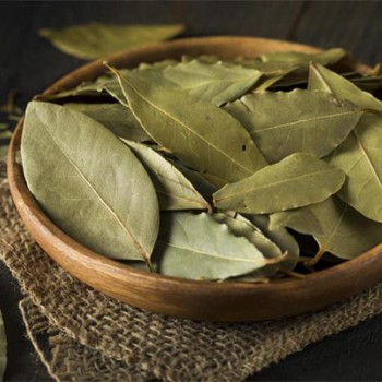 Δάφνη Δάφνη